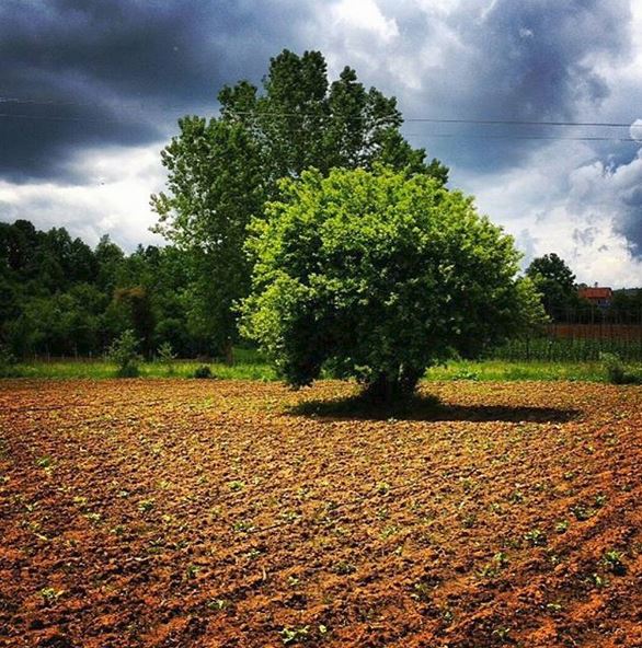 Baran Organik Yaşam Çiftliği